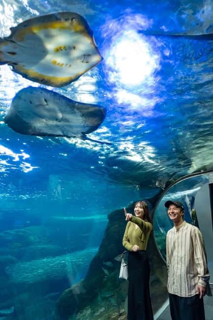 Enoshima Aquarium: Admission Ticket - Price and value: why this $18 ticket can be a win