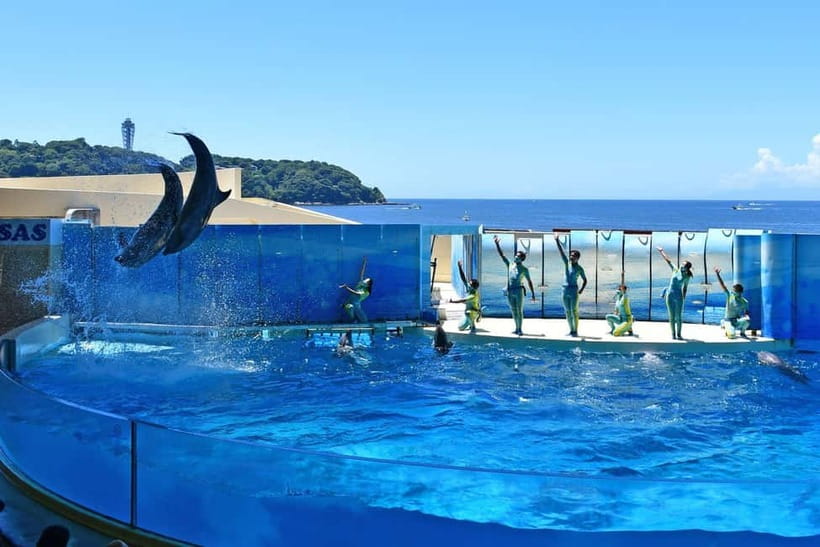 Enoshima Aquarium: Admission Ticket - Opening hours you should match your day to