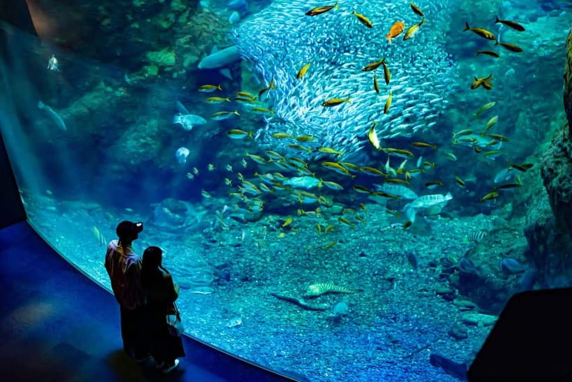 Enoshima Aquarium: Admission Ticket - Getting there on foot: stations you can actually use