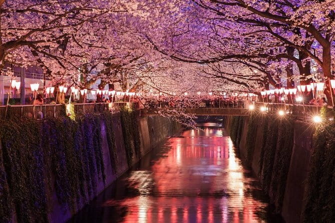 Evening Hanami (Cherry Blossom) Experience with a Local - Key Things That Make This Tour Worth Your Time