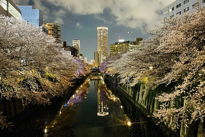 Exciting Evening of Eats in Tokyo - Why Nakameguro Food Beats Tokyo’s Biggest Crowds