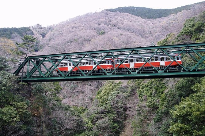 Exciting Hakone - One Day Tour from Tokyo - Why this Hakone day feels worth the effort