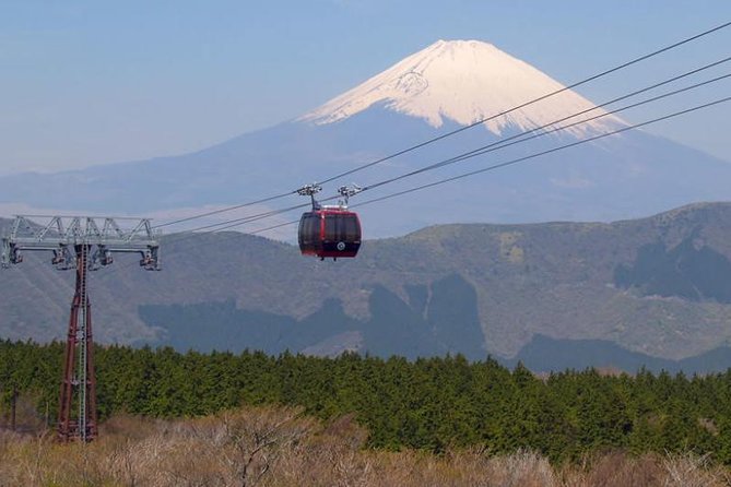 Exciting Hakone - One Day Tour from Tokyo - 8:30 pickup and the ride to the Shinkansen start