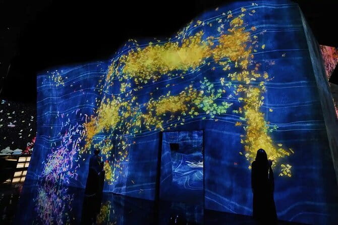 Experience TeamLab Planets in Tokyo - What your ticket includes (and why it affects value)
