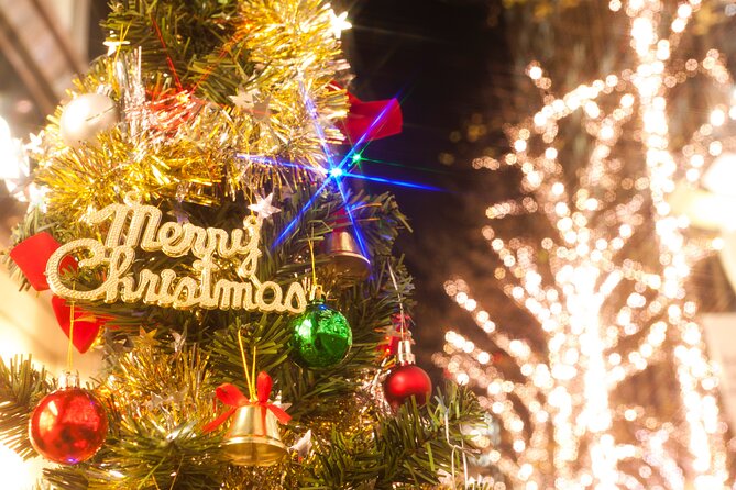 Experience the Magic of Christmas in Tokyo - What you’re paying for: value of a private Christmas lighting route