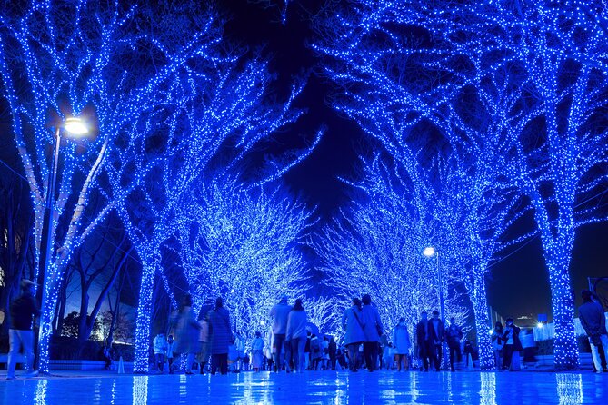 Experience the Magic of Christmas in Tokyo - Roppongi Keyakizaka winter lights and Jingu Gaien market vibes