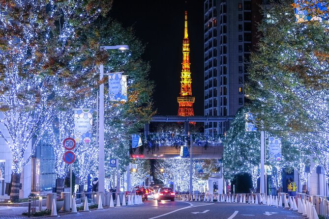 Experience the Magic of Christmas in Tokyo - Private pickup and a luxury vehicle: why it matters at night