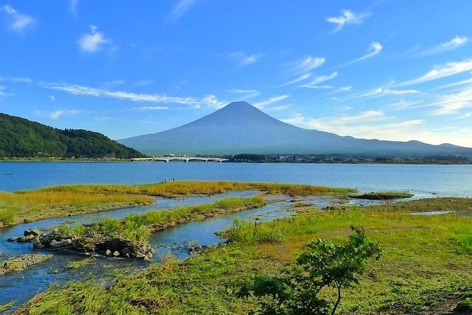 Experience the Stunning Nature of Mt.Fuji - Private Tour - Biking around Lake Kawaguchiko, then Oishi Park flowers