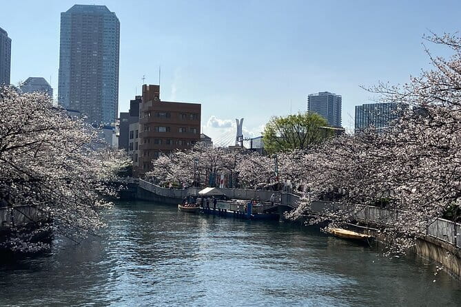 Explore Local Tokyo: Buddhism & Shinto - The café start: quick orientation, then you walk