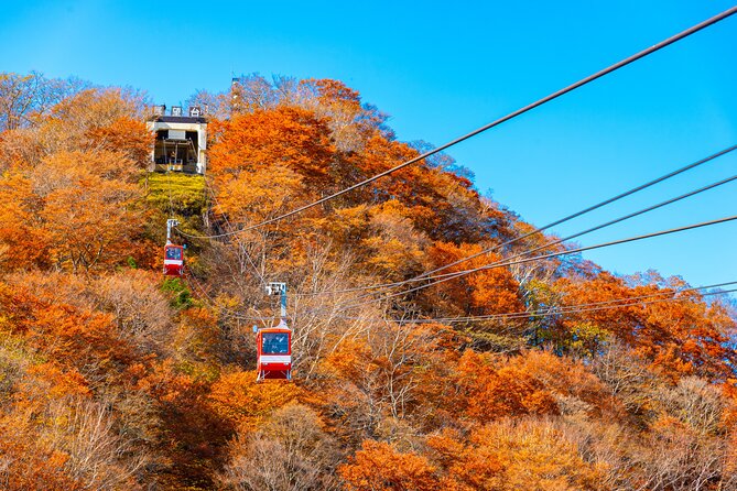 Explore the Culture and History of Nikko with this Private Tour - Stop 2: Tamozawa Imperial Villa Memorial Park for Edo and Meiji contrasts