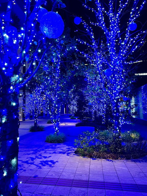 Find Yokohama's Hidden Gem: Walking Tour with Local Guide - Walking route vibe, waterfront views, and architecture that makes sense