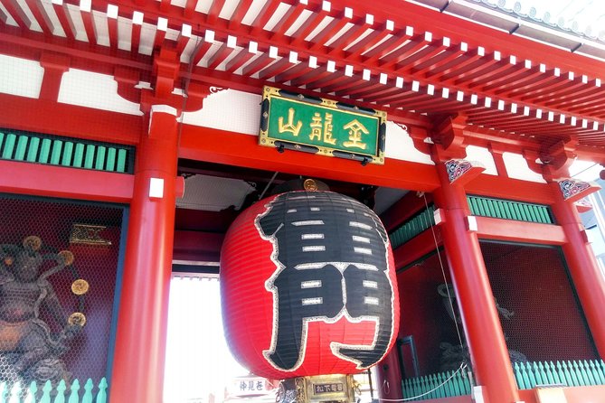 Free Choice of Itineraries Tokyo Private Tour - Ueno Zoo Takes Time, But It’s a Great Family-Friendly Detour