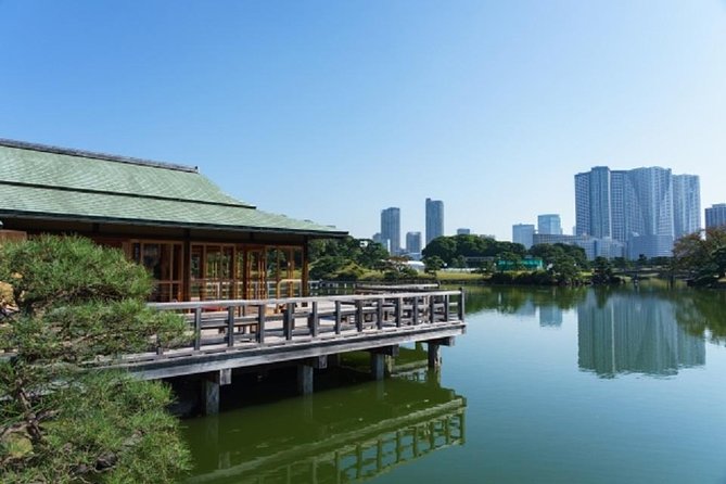 Freely set up plans Guided Private Tours in Tokyo - Riding Tokyo’s trains with an English guide (the real win)