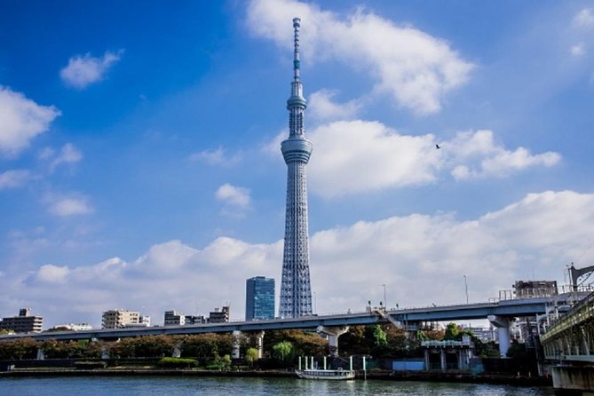 Freely set up plans Guided Private Tours in Tokyo - Shibuya Crossing to Meiji Jingu: modern traffic theater, then calm