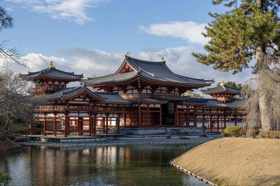 From Osaka: Kyoto & Nara Highlights Day Tour (7 attractions) - Nara Park and Todaiji: Deer Encounters and a Giant Buddha Moment