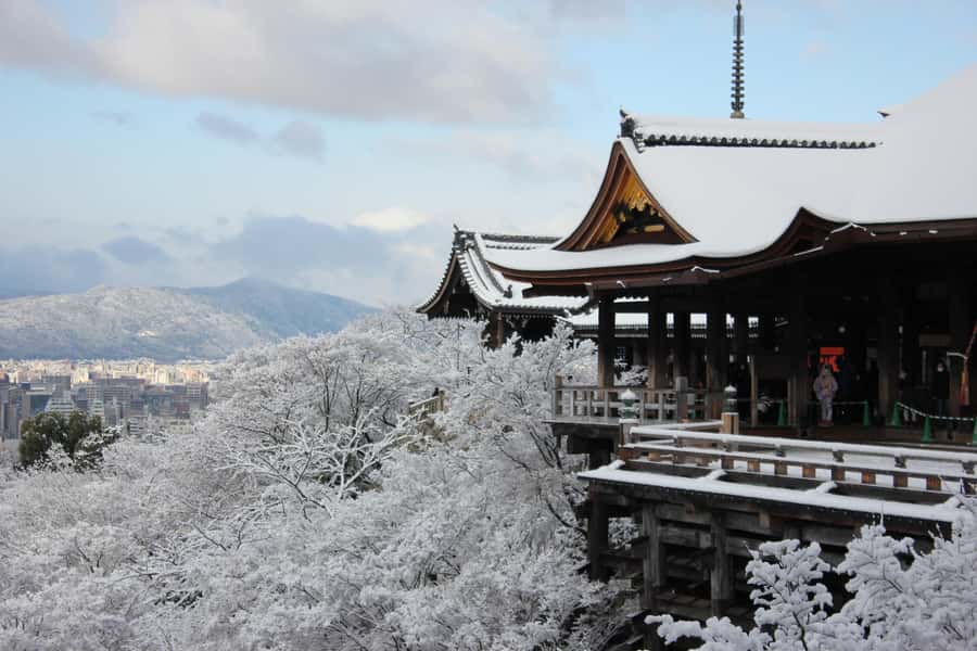 From Osaka: Kyoto & Nara Highlights Day Tour (7 attractions) - Kasugataisha Shrine: Lantern Paths That Slow Your Pace
