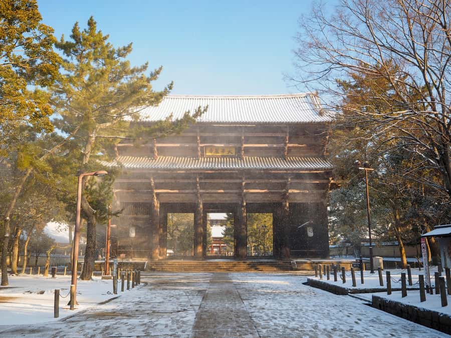 From Osaka: Kyoto & Nara Highlights Day Tour (7 attractions) - Uji Omotesando and Byodoin Temple: The Tea Town Break