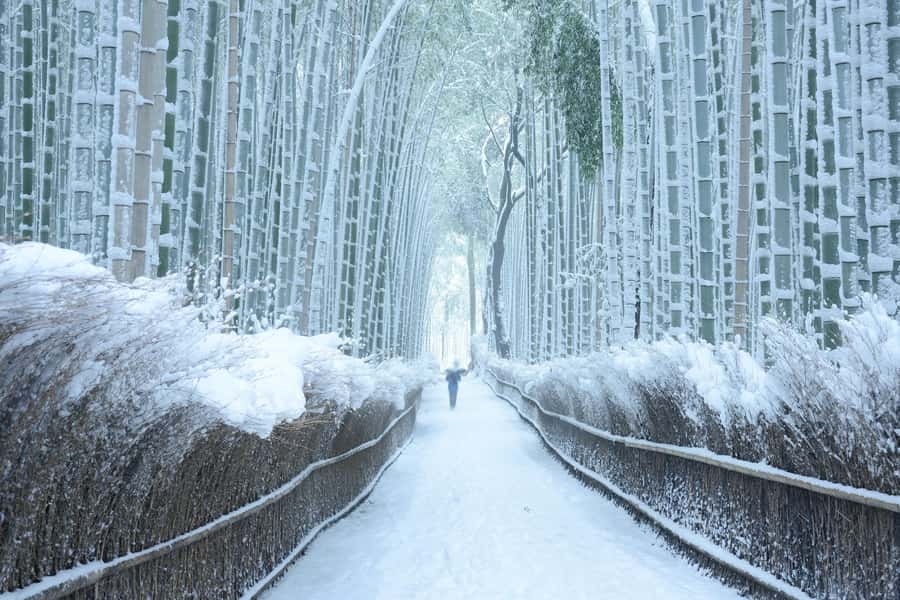 From Osaka: Kyoto & Nara Highlights Day Tour (7 attractions) - Fushimi Inari Taisha: Torii Gates and the Mount Inari Walk