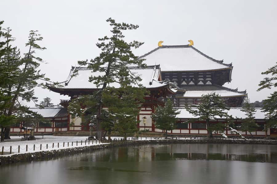 From Osaka: Kyoto & Nara Highlights Day Tour (7 attractions) - How Guides Actually Make the Day Better