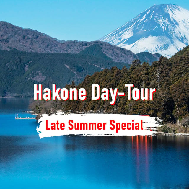 From Tokyo: 10-hour Hakone Private Custom Tour - Why a Private Car Makes Hakone Feel Easier