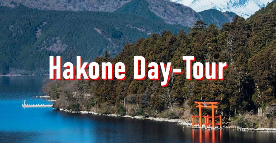 From Tokyo: 10-hour Hakone Private Custom Tour - Planning Tips That Keep Your Day Feeling Relaxing