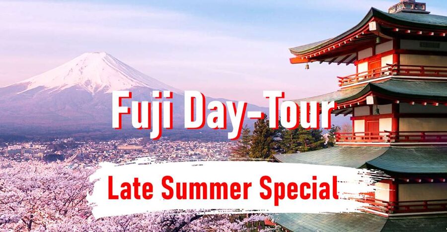 From Tokyo: 10-hour Mount Fuji Private Customizable Tour - A private Mount Fuji day that starts where you’re staying
