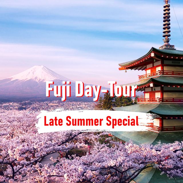 From Tokyo: 10-hour Mount Fuji Private Customizable Tour - Price and value: is $707 per group up to 3 a smart spend?