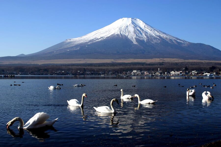 From Tokyo: Fuji Mountain Area - FujiQ - Lake Kawaguchiko - Chureito Pagoda - Key things to know before you go