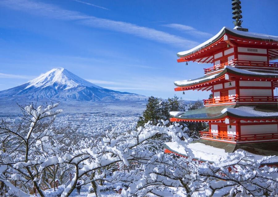 From Tokyo: Fuji Mountain Area - FujiQ - Lake Kawaguchiko - Chureito Pagoda - Arakawa Sengen Park and Chureito Pagoda at Sunset