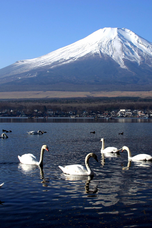 From Tokyo: Fuji Mountain Area - FujiQ - Lake Kawaguchiko - Chureito Pagoda - Price and Value: What $292 Per Person Is Really Buying