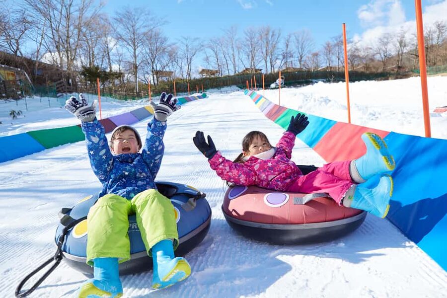 From Tokyo: Fujiyama Snow Resort Yeti Winter Ski Day Tour - Family sledding: a simple plan for mixed groups