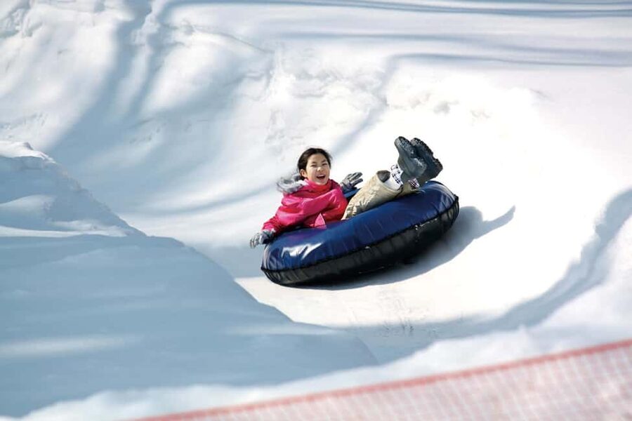 From Tokyo: Fujiyama Snow Resort Yeti Winter Ski Day Tour - Value and price: why about $49 can work for the right person