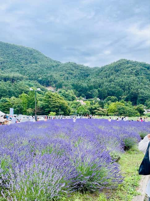 From Tokyo: Full-Day Mount Fuji Tour in English or Spanish - Key highlights worth planning around