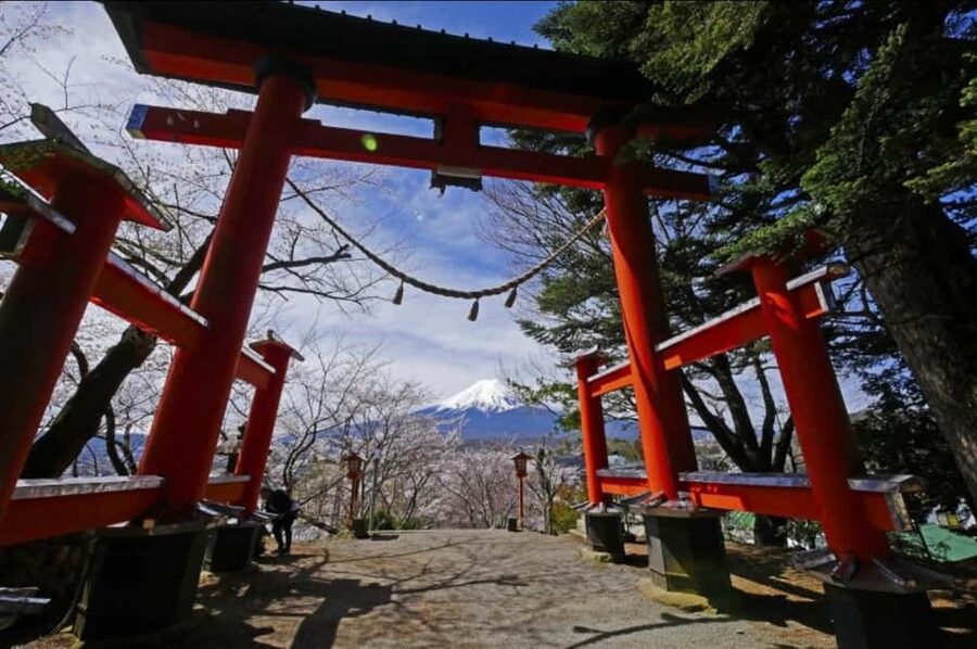 From Tokyo: Full-Day Mount Fuji Tour in English or Spanish - How this Mount Fuji tour works from Nishishinjuku