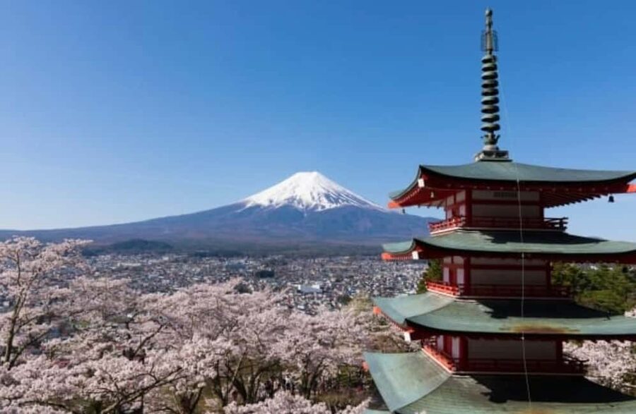 From Tokyo: Full-Day Mount Fuji Tour in English or Spanish - Oishi Park and the stone gardens with seasonal flowers