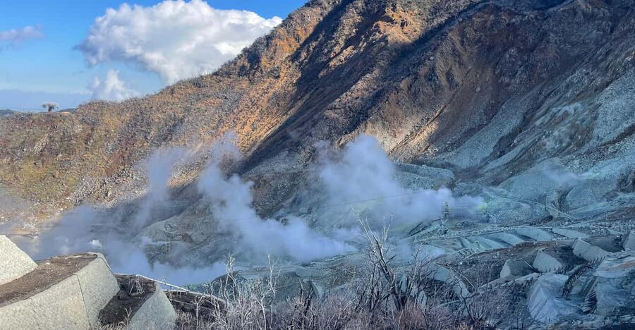 From Tokyo: Hakone Full Day Customizable Private Tour - Hakone Shrine: the easy start that sets the tone