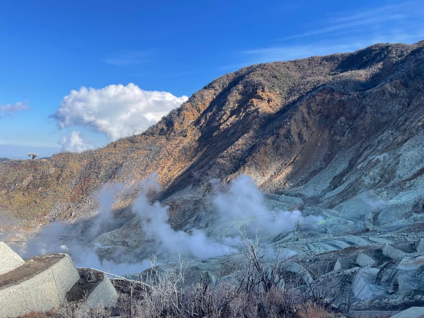 From Tokyo: Hakone Full Day Customizable Private Tour - Owakudani Valley: volcanic power and dramatic scenery