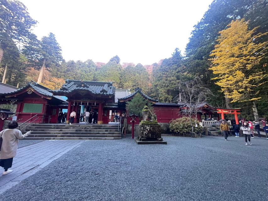From Tokyo: Hakone Full Day Customizable Private Tour - Fuji Hakone Izu National Park: a brief, scenic connection