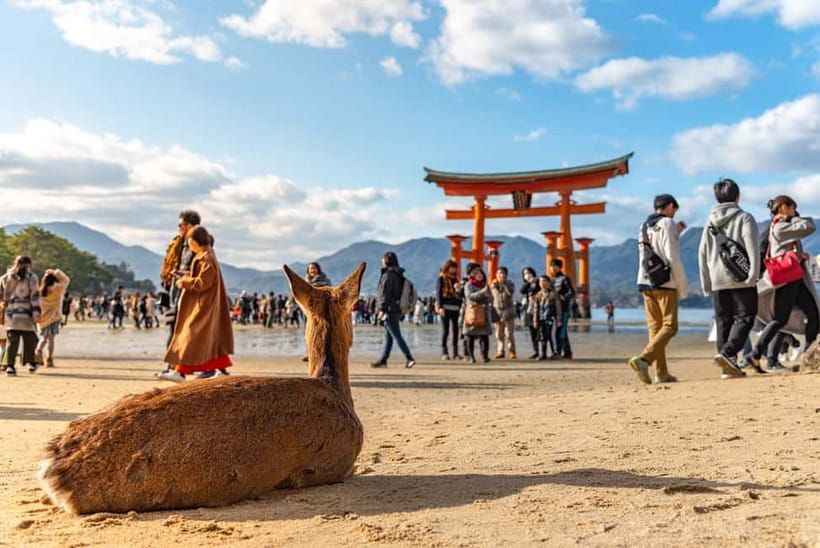 From Tokyo: Hiroshima and Miyajima Day Trip by Bullet Train - Why Hiroshima and Miyajima Together Feels Right