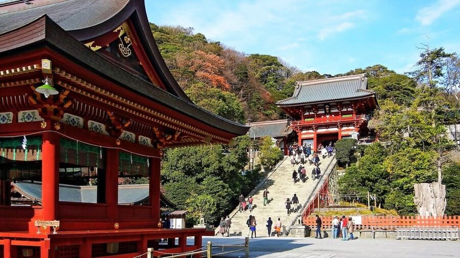 From Tokyo: Kamakura Full Day Tour with a Local Expert Guide - How the Great Buddha Stop Changes the Whole Day