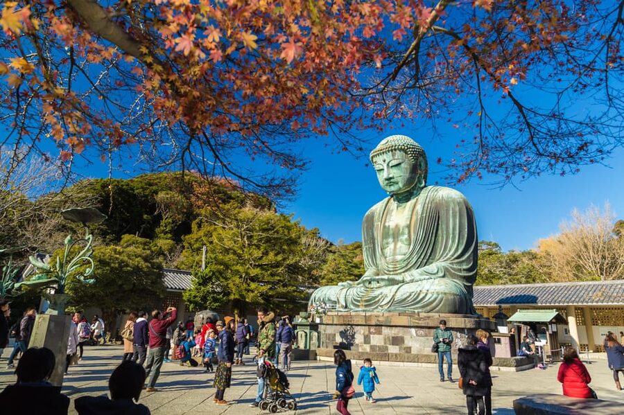 From Tokyo: Kamakura Full Day Tour with a Local Expert Guide - Zen Temples and Garden Time, Without the Guesswork