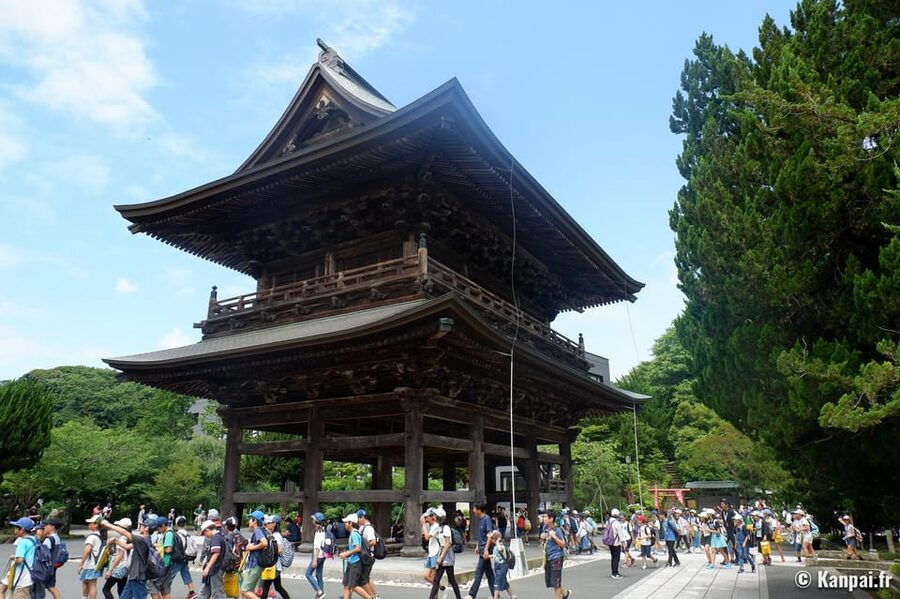 From Tokyo: Kamakura Full Day Tour with a Local Expert Guide - Should You Book This Kamakura Full Day Tour From Tokyo?