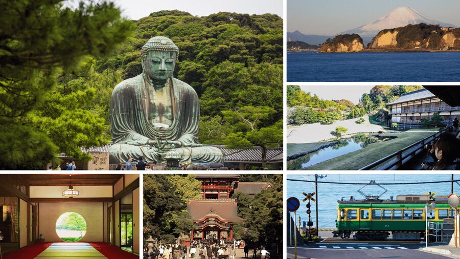 From Tokyo: Kamakura Full Day Tour with a Local Expert Guide - Tsurugaoka Hachimangu Shrine, Where Culture Feels On-Purpose
