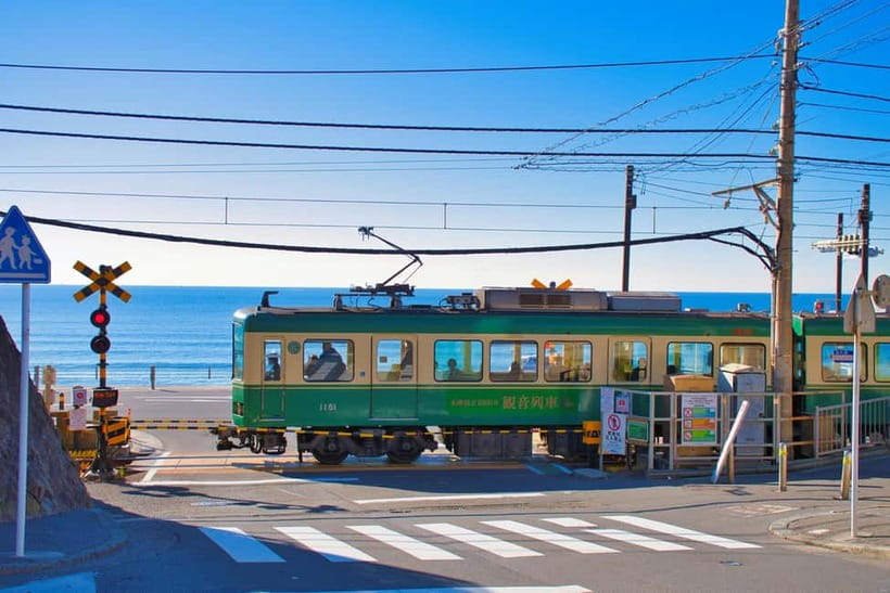 From Tokyo: Kamakura, Great Buddha, and Enoshima Bus Tour - From Shinjuku to Kamakura: meeting point, early start, and walking reality