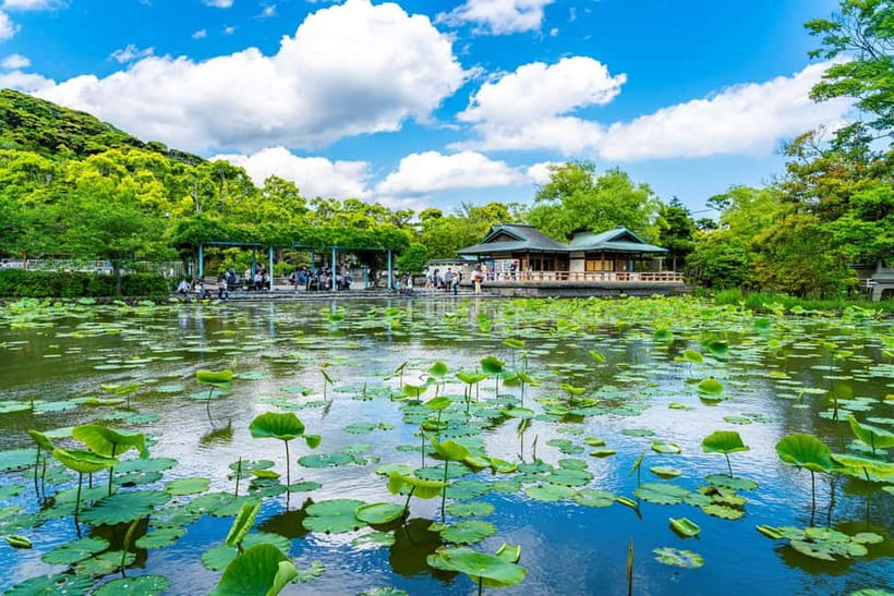 From Tokyo: Kamakura, Great Buddha, and Enoshima Bus Tour - Tokyo Metro to Shibuya Crossing: finishing with real city energy