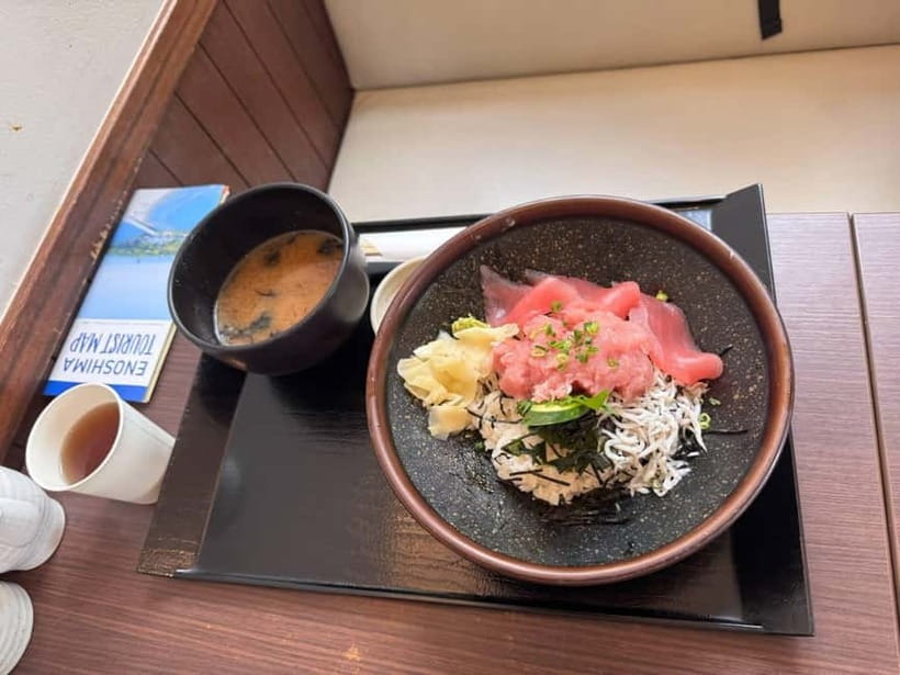 From Tokyo: Kamakura, Great Buddha, and Enoshima Bus Tour - Price and value: does $75 make sense for Kamakura, Great Buddha, Enoshima, and Tokyo?