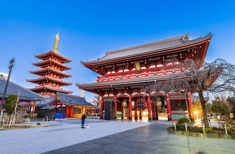 From Tokyo: Kamakura, Great Buddha, and Enoshima Bus Tour - What the pacing feels like on the ground