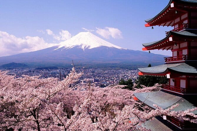 From Tokyo Kamakura, Hachimangu Shrine and Enoshima Full Day Tour - Tsurugaoka Hachimangu Shrine: Samurai-Era Spirit and Big Torii Moments