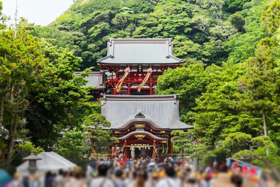 From Tokyo: Kamakura Private Customize Tour by Luxury Van - Kamakura Beaches: How to Keep the Coast Time Enjoyable