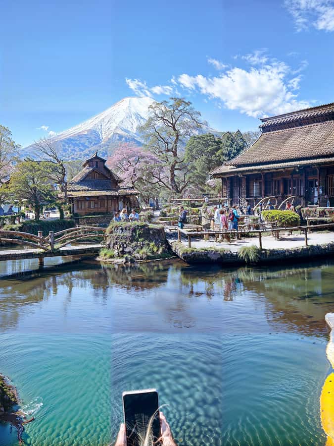 From Tokyo: Mount Fuji and Hakone Private Day Trip - Key things that make this tour feel worth it